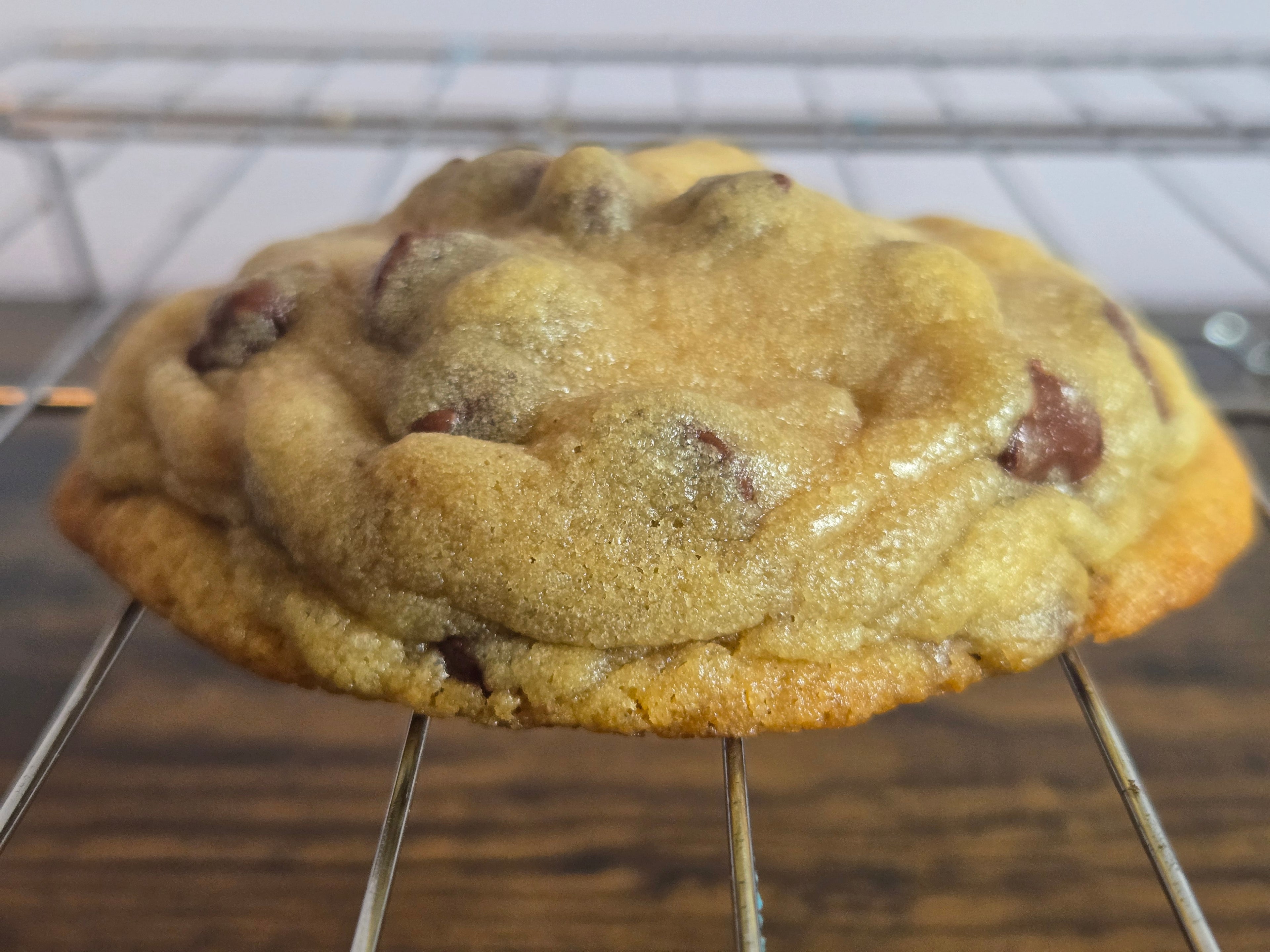 Chocolate Chip
